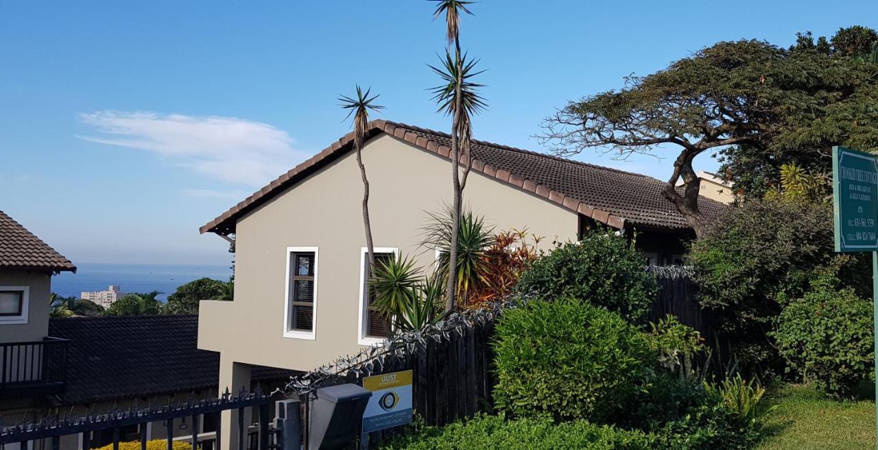 Crooked Tree Cottage Durban Exteriör bild